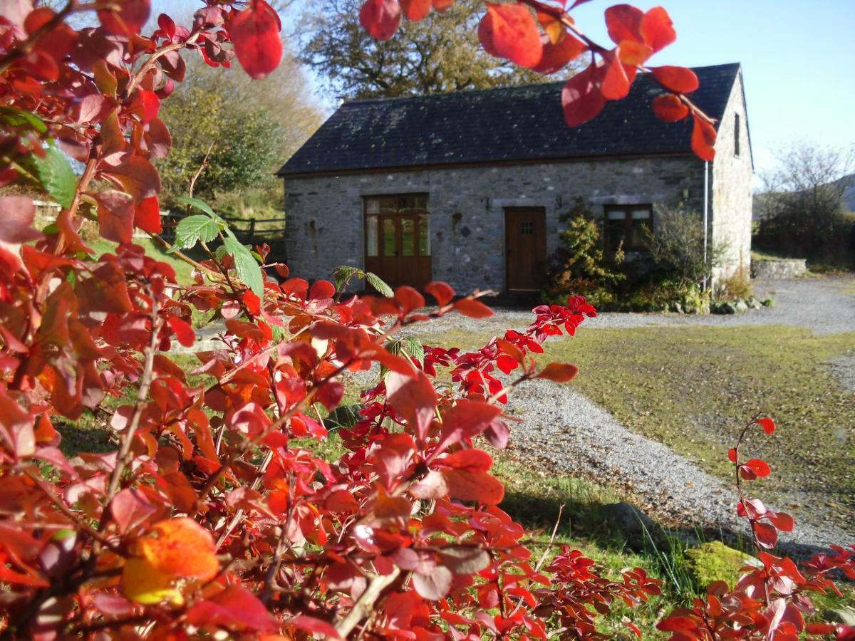 Cae'R Beili Llandovery Exterior foto